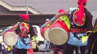 2016奥州前沢よさこいFesta12 極東☆一番星