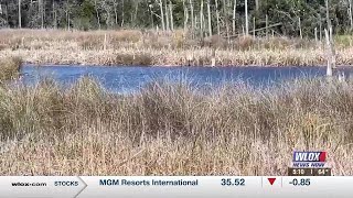 Moss Point middle school launches program to teach students about protecting their environment