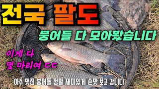 전국 몸짱 붕어 선발대회 / 붕어낚시 매력에 빠져~봅시당