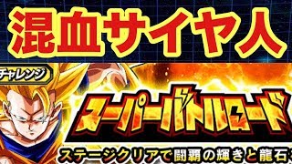 【ドッカンバトル #1492】混血パで新バトロ！！自軍オール虹パで挑んだら…！？【バトルロード Dokkan Battle】