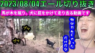 【布団ちゃんエール】屁をこきながら走り去る馬の動画に笑ってしまう布団ちゃん　2023/08/04