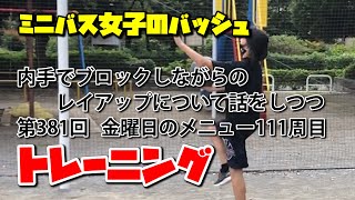 ミニバス女子のバッシュ　普通の子の普通な練習　その838【内手でブロックしながらのレイアップについて話をしつつトレーニング381】金曜日のメニュー111周目