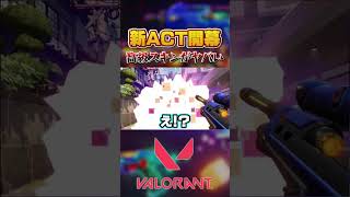 新ACTで追加された今話題の高級スキンがヤバすぎるｗｗ #shorts  【VALORANT】