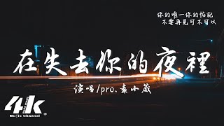 pro/袁小葳 - 在失去你的夜裡『在失去愛的心裡，多少次想要忘記 卻無能為力。』【高音質|動態歌詞Lyrics】♫