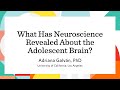 What Has Neuroscience Revealed About the Adolescent Brain?