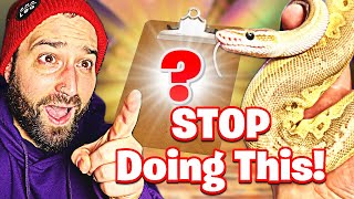 Ball Python Care Guide 2026 | Complete Beginner Setup & Care Tips!