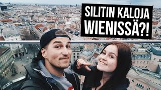 iso kalu silitti