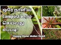 செலவில்லாத மாடித் தோட்டம்! My Terrace Garden|இனிமேல் உரம் வாங்கவே வேண்டாம்!