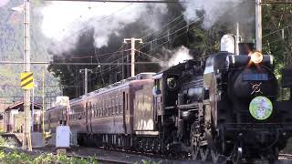 秩父鉄道　SL幸福のフクロウ号　武州日野駅駅通過