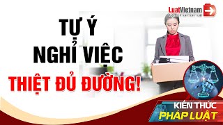 Tự Ý Nghỉ Việc, Thiệt Đủ Đường! | LuatVietnam