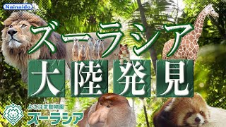 【よこはま動物園ズーラシア】横浜に広がる生命の大陸‼