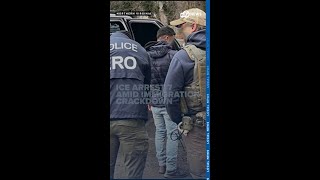 ICE arrests seven in Northern Virginia amid heightened crackdown on immigration