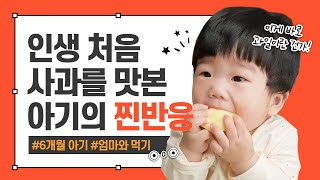 [6개월아기] 사과를 처음 맛본 아기의 찐반응