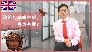 被迫和蟑螂共處，房東有責？