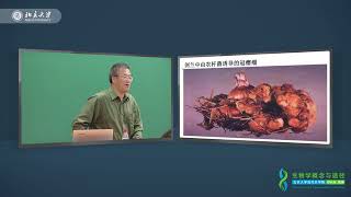 【北京大学】生物学概念与方法51