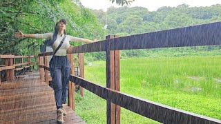 A must-go mountain in Korea when it rains. / A noodle shop open only 3 hours a day.