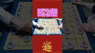 强行马后炮  神仙也难救 #抖音创作者大会 #象棋 #休闲娱乐 #天天象棋 @象棋哥张继红