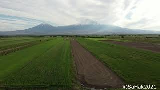 Արարատ լեռը թռչնի թռիչքի բարձրունքից - Ararat mountain from drone