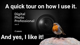 Canon DPP For Editing Your Raw Files. Is It Really That Bad?