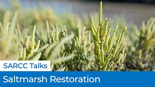 SEDNET 2021 Presentation - Saltmarsh Restoration