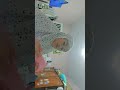 nge spill dompet punya mbak tp aku pek