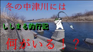 【川釣り】冬の中津川には一体何がいる！？