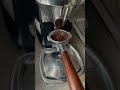 Mazzer Mini E - Grinding Time (SJ burrs)