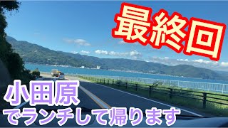 【ミニピン】伊豆高原旅行⑪/大河9ヶ月 ♂