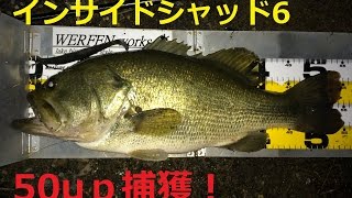 2015・11月20日　琵琶湖　南湖西岸　インサイドシャッド6で50up