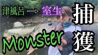 津風呂湖→室生ダム。Monster捕獲なるか！？