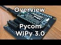 Our Overview of Pycom WiPy