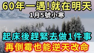 60年一次，就在明天！1月5號「小寒」，起床後趕緊去做1件事，再倒霉也能逆天改命！【好運蓮蓮】#生肖 #運勢 #風水 #財運#命理#佛教 #人生感悟#佛語禪心