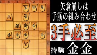 【将棋】矢倉崩しは手筋の組み合わせ！２つの手筋が見えれば合格の３手必至問題！【将棋終盤の基本】