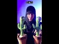 cactus vs beatbox beatbox tiktok