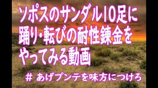 ブラック企業の耐性錬金講座（ソポスのサンダルに踊り転び10足）