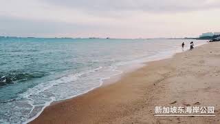 新加坡超赞的东海岸公园