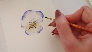 How to Paint a Pansy with Watercolors | Easy Flower Painting Tutorial #Shorts #watercolortutorial