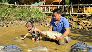 45 Days:Harvesting Fish,Pigs,Potatoes and Ginger goes to the market sell-Gardening growing vegetable