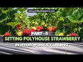 5. Setting Polyhouse For Strawberry Cocoponics/Hydroponic System (Jyoti Hydroponics Farm) Part 5