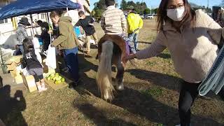 211205 134309　ポニーと野遊び親子クラブは「ポニーフィールドあみ」の乗馬体験その１