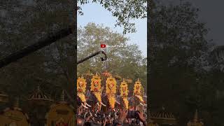 ആനപ്പൂരം , ചീരംകുളം പൂരം സ്പെഷ്യൽ || anapoooram Cheeramkulam pooram 2025