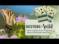 How to Plant DWR's Native Pollinator Seeds: Boost Your Backyard Wildlife!