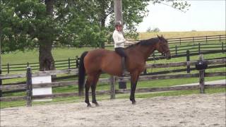 Tips for Riding Bareback