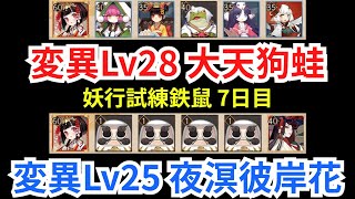 【陰陽師】妖行試練「鉄鼠」7日目 変異Lv28大天狗蛙＆変異Lv25夜溟彼岸花攻略！