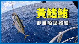 [Offshore Fishing] 人生第一次體驗船拋~ 黃鰭鮪不停地拉爽爽! I 가오슝 선상 플러깅 및 지깅 낚시투어