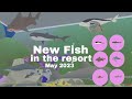 Play Together | Fishing all new legendary and rare fish in the Resort