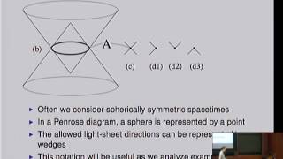 Entropy Bounds, Light-sheets, and the Holographic Principle... part 1 continued - Raphael Bousso