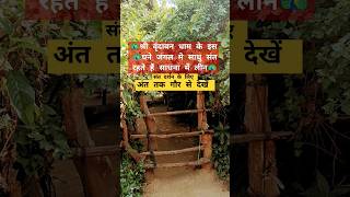 श्री वृंदावन धाम का घना जंगल और साधना मे लीन गुप्त साधु संत#vrindavan#trending#vlog#braj#share#viral