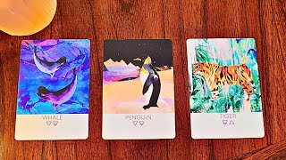 I asked Spirit for a Nice Surprise For You 💝 Pick a Card 🙏🏻✨😘