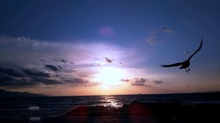 水平線に沈む夕陽 sunset nature sea timelapse